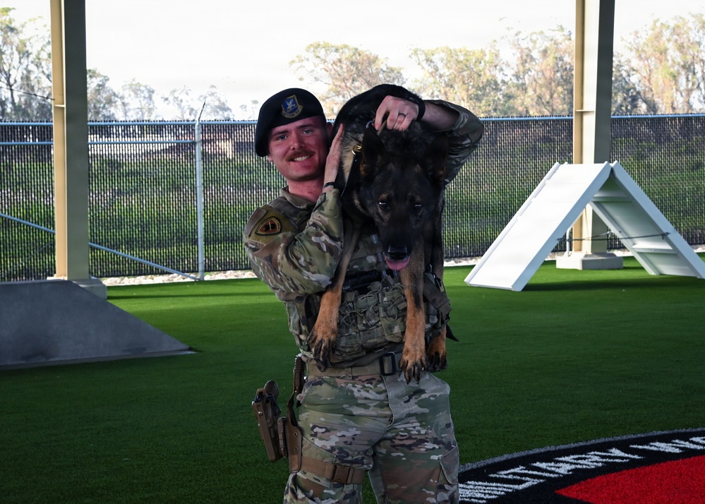 A Day in the Life of a Military Working Dog Team