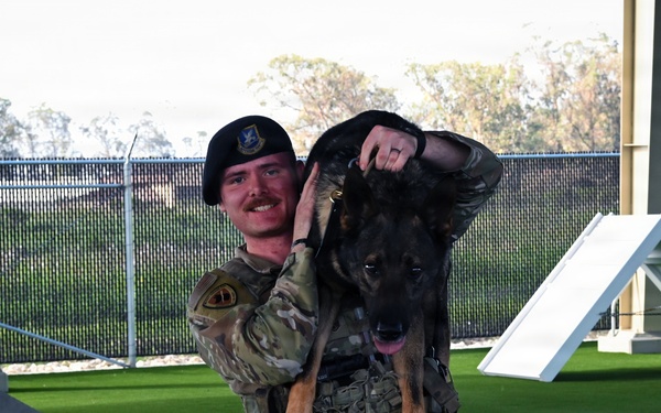 A Day in the Life of a Military Working Dog Team