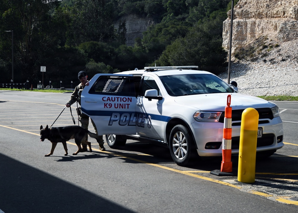 A Day in the Life of a Military Working Dog Team