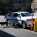 A Day in the Life of a Military Working Dog Team
