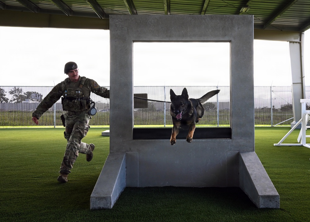 A Day in the Life of a Military Working Dog Team