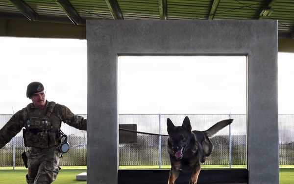 A Day in the Life of a Military Working Dog Team