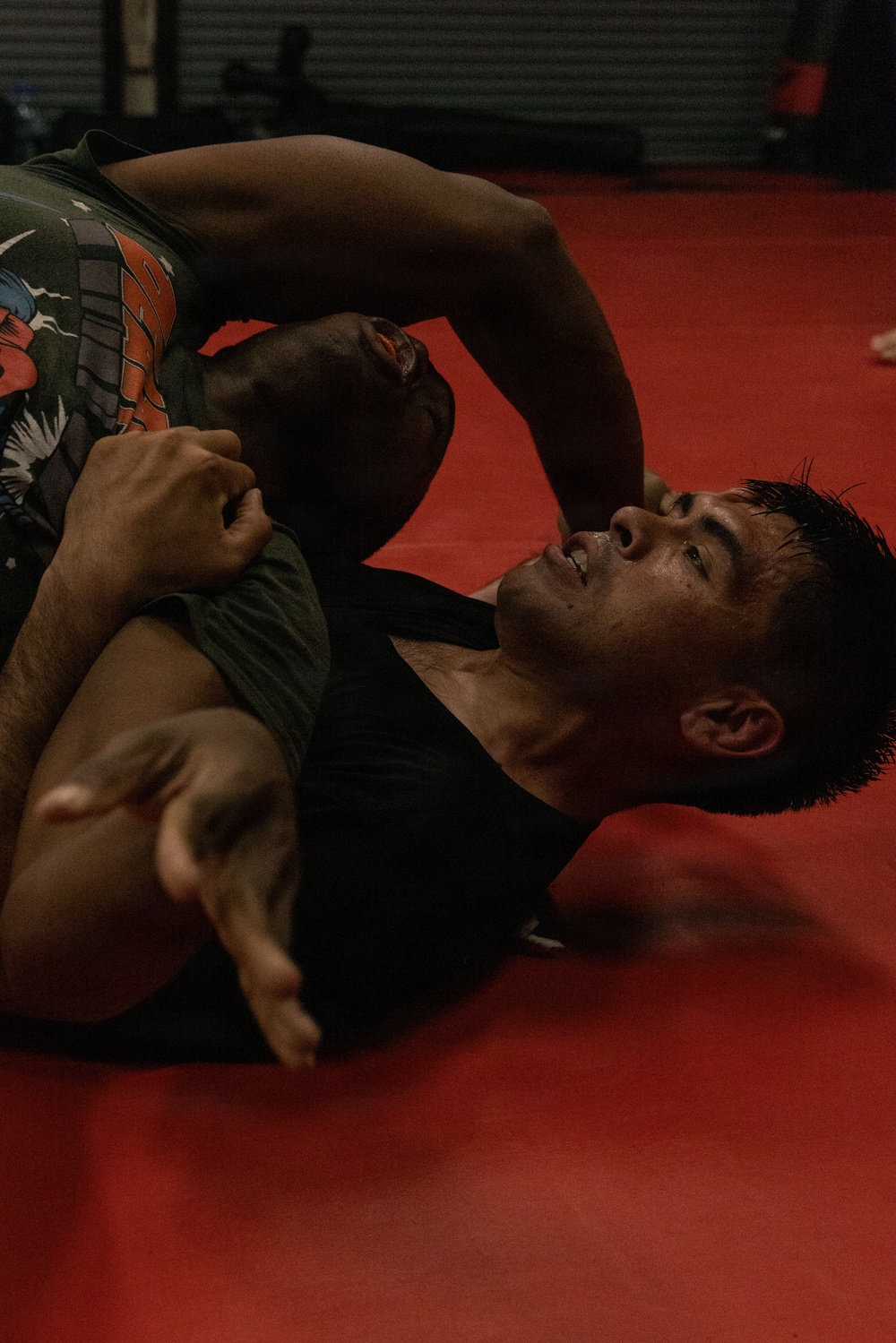 Freedom Fest mixed martial arts combine and fighter evaluation