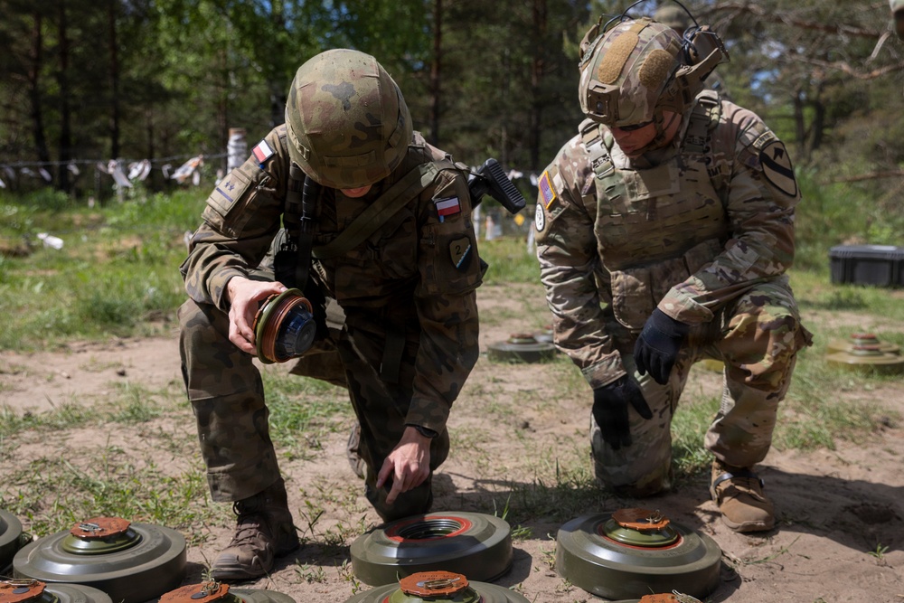 U.S. Army engineers strengthen NATO partnership through cross-training in Poland