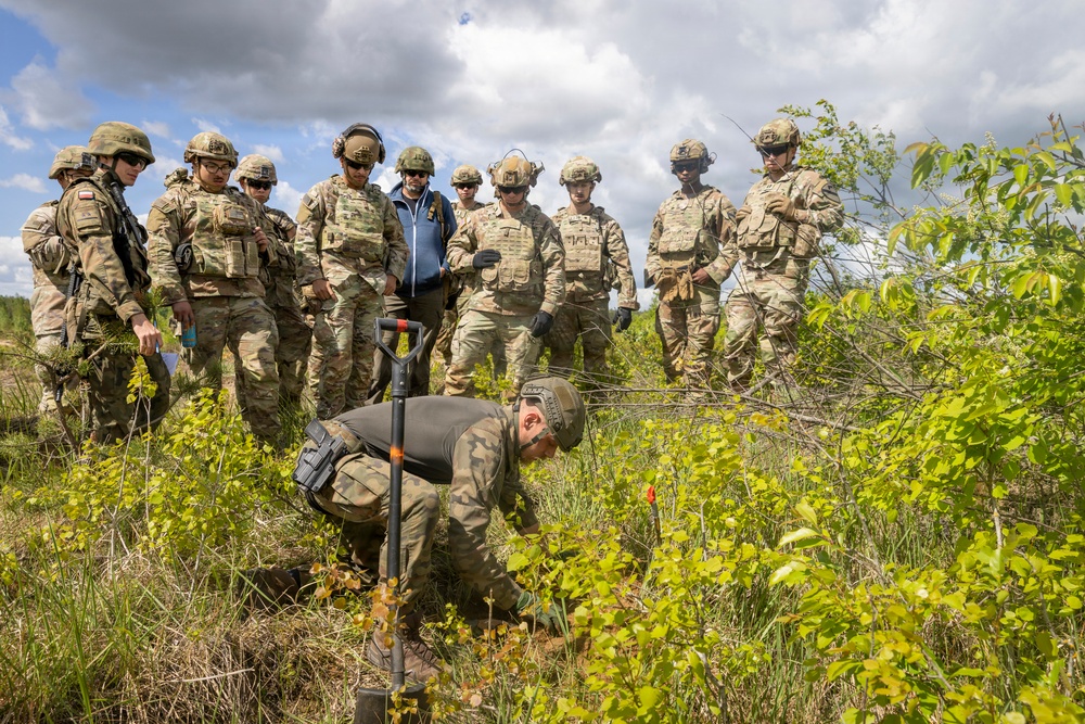 U.S. Army engineers strengthen NATO partnership through cross-training in Poland