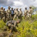 U.S. Army engineers strengthen NATO partnership through cross-training in Poland