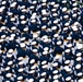 U.S. Air Force Academy Graduation Class of 2026