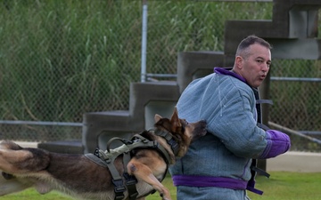 PACAF Military Working Dog teams participate in day 2 of 2026 ACSA