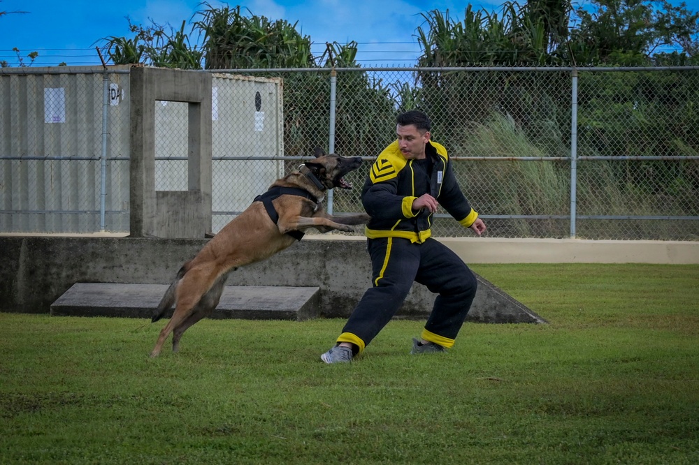 PACAF Military Working Dog teams participate in day 2 of 2026 ACSA