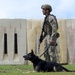 PACAF Military Working Dog teams participate in day 2 of 2026 ACSA