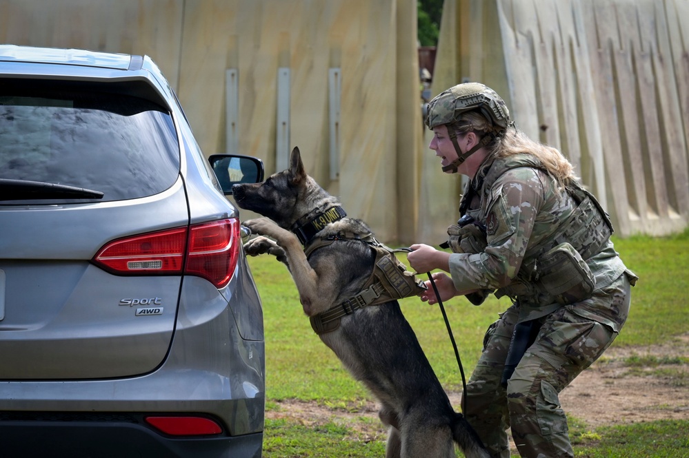 PACAF Military Working Dog teams participate in day 2 of 2026 ACSA
