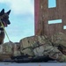 PACAF Military Working Dog teams wrap up 2026 ACSA activities