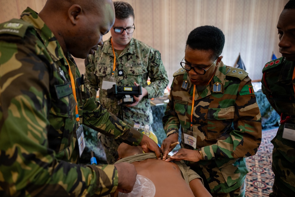2026 European African Military Nursing Exchange