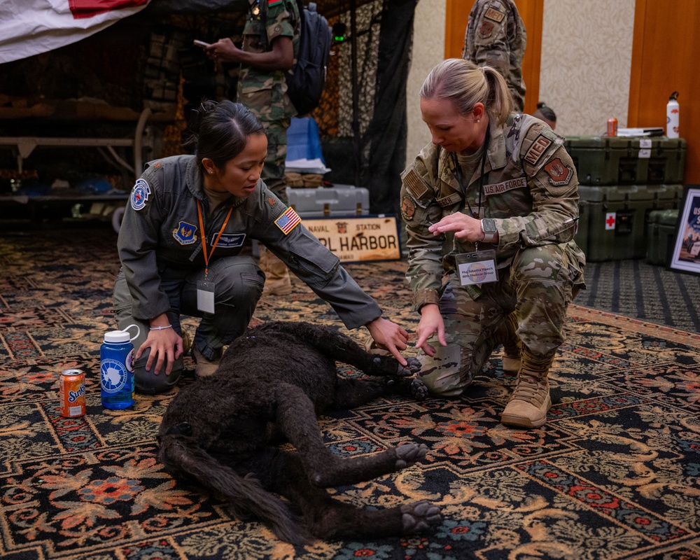 2026 European African Military Nursing Exchange