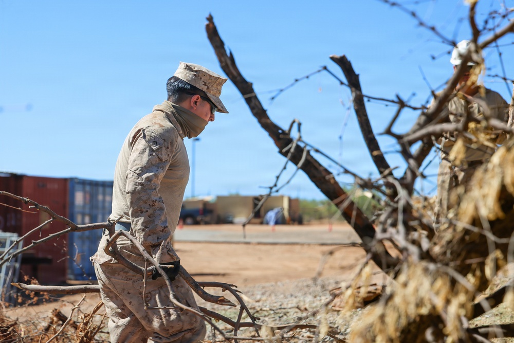 Clearing the way: JTF-SB Marines conduct vegetation clearance