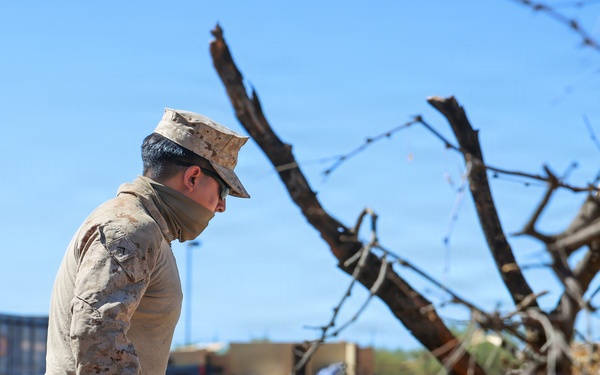 Clearing the way: JTF-SB Marines conduct vegetation clearance