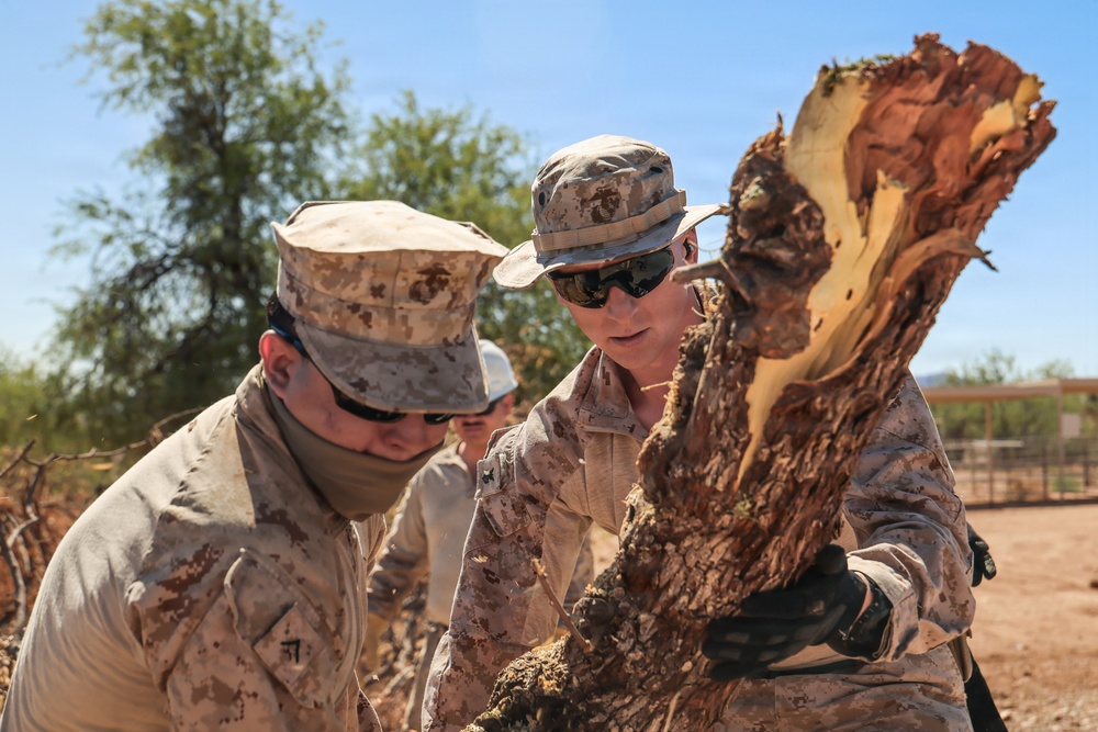 Clearing the way: JTF-SB Marines conduct vegetation clearance