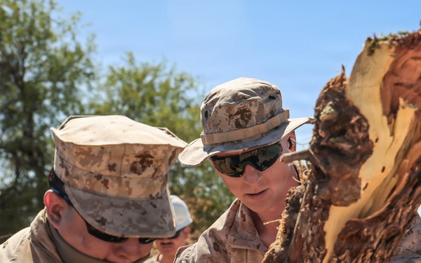 Clearing the way: JTF-SB Marines conduct vegetation clearance