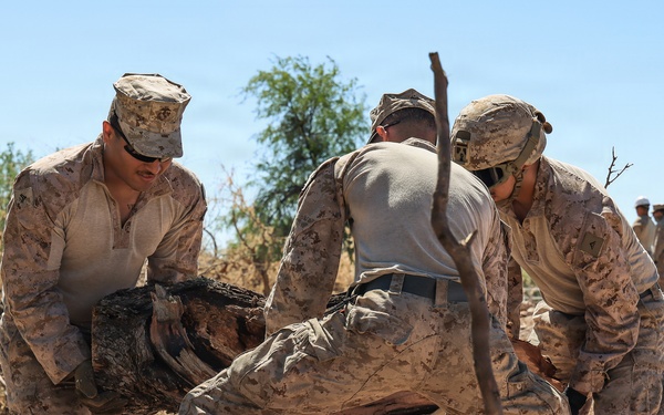 Clearing the way: JTF-SB Marines conduct vegetation clearance