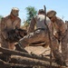Clearing the way: JTF-SB Marines conduct vegetation clearance