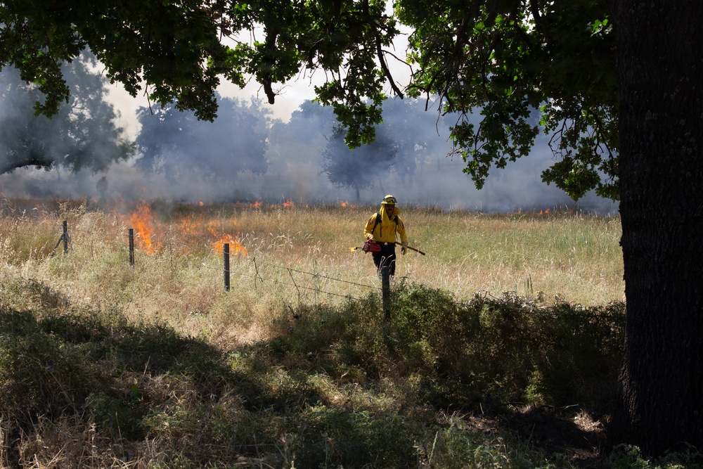 Red Bluff Recreation Area Prescribed and Cultural Burn