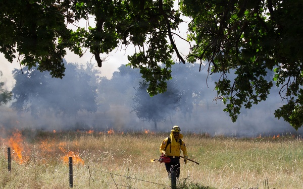 Red Bluff Recreation Area Prescribed and Cultural Burn