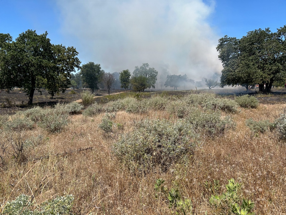 Red Bluff Recreation Area Prescribed and Cultural Burn