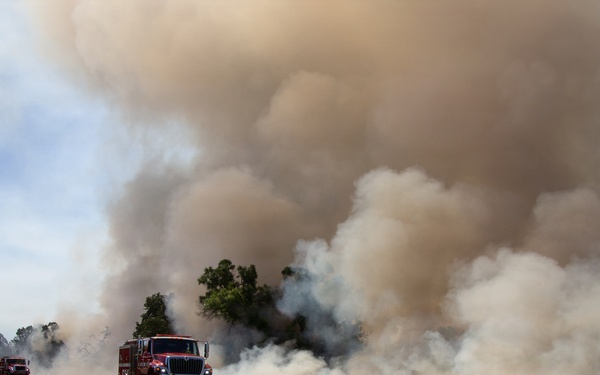 Red Bluff Recreation Area Prescribed and Cultural Burn