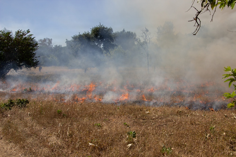 Red Bluff Recreation Area Prescribed and Cultural Burn