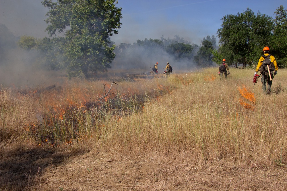 Red Bluff Recreation Area Prescribed and Cultural Burn