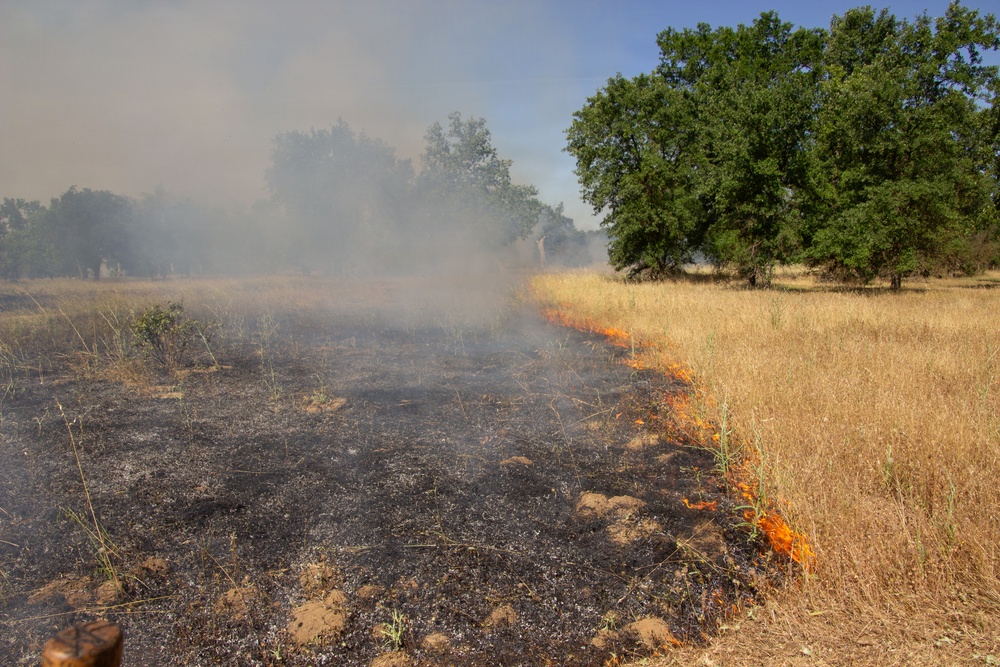 Red Bluff Recreation Area Prescribed and Cultural Burn