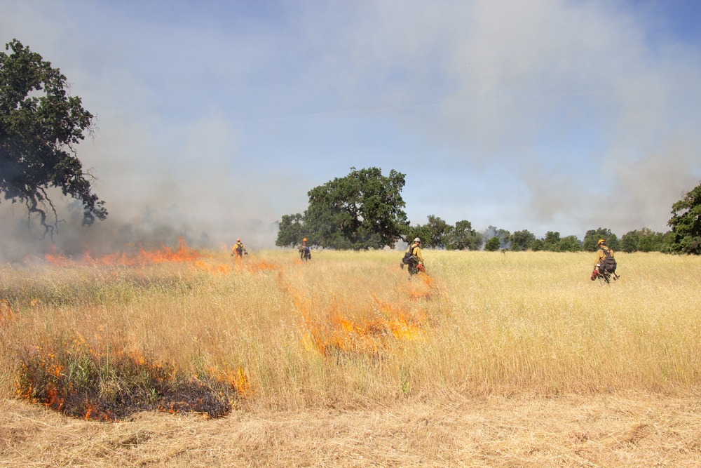 Red Bluff Recreation Area Prescribed and Cultural Burn