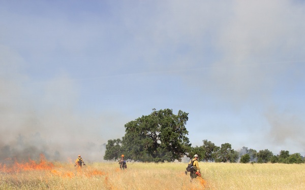 Red Bluff Recreation Area Prescribed and Cultural Burn