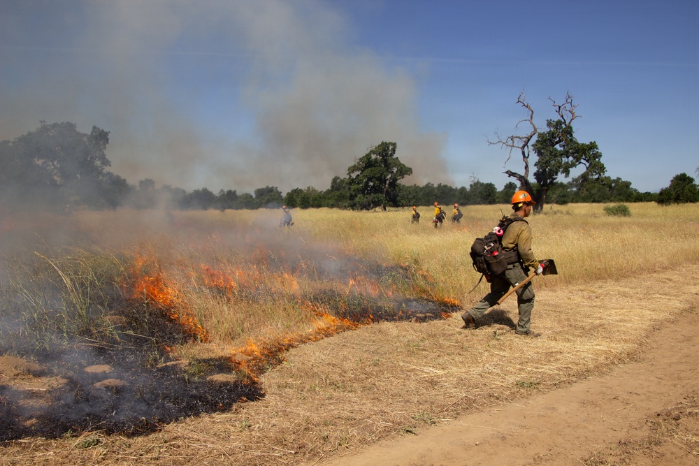 Red Bluff Recreation Area Prescribed and Cultural Burn