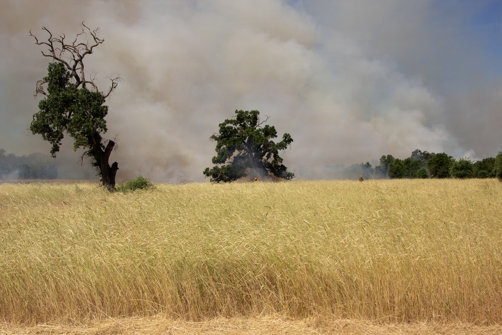 Red Bluff Recreation Area Prescribed and Cultural Burn