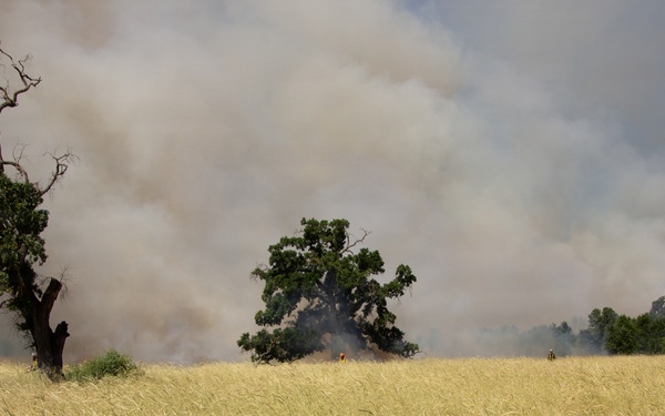 Red Bluff Recreation Area Prescribed and Cultural Burn