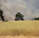Red Bluff Recreation Area Prescribed and Cultural Burn