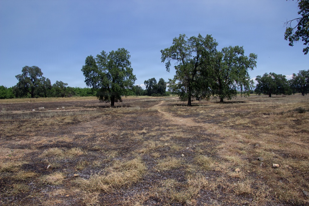 Red Bluff Recreation Area Prescribed and Cultural Burn