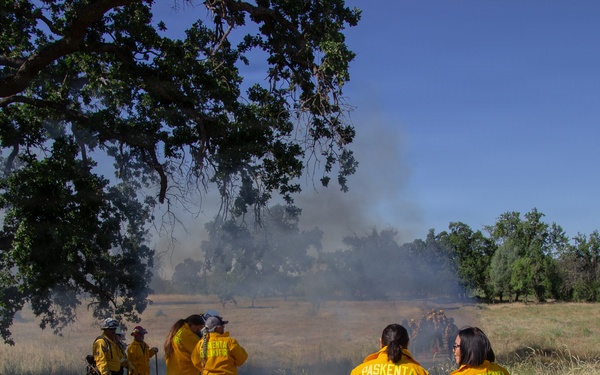 Red Bluff Recreation Area Prescribed and Cultural Burn
