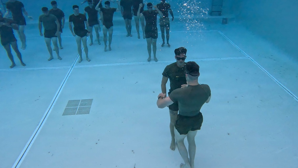 Marines receive NAMs for life saving efforts