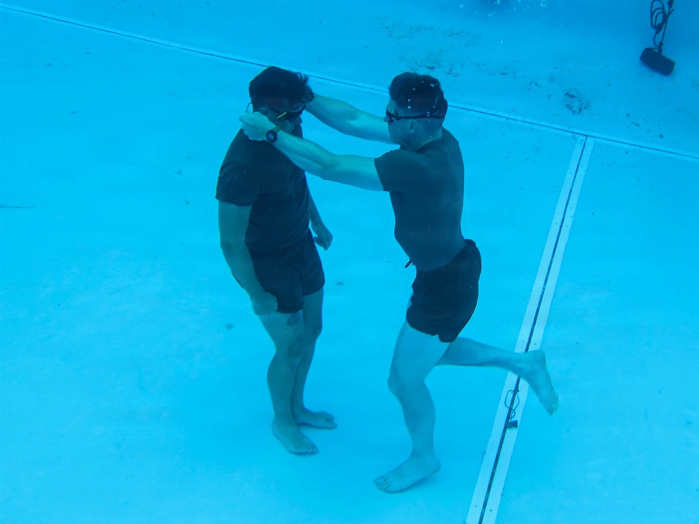 Marines receive NAMs for life saving efforts