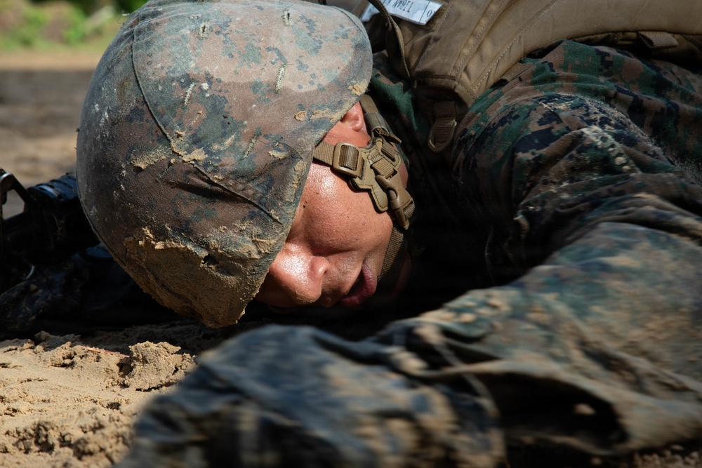 Delta Company Crucible