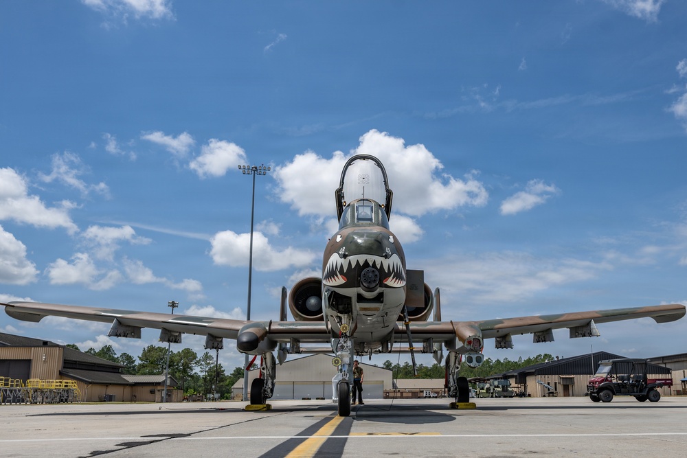 Maintainers honor Flying Tiger heritage with A-10 paint restoration