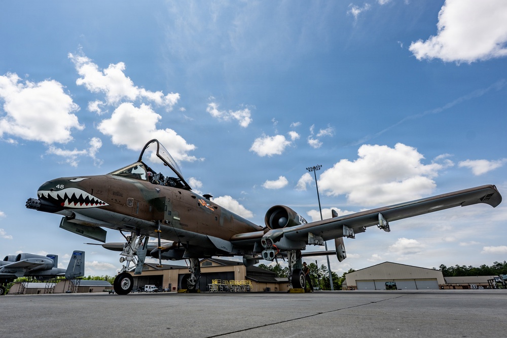 Maintainers honor Flying Tiger heritage with A-10 paint restoration