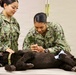 Treating Four-Legged Warfighters: Navy Corpsmen Train in Canine Tactical Combat Casualty Care