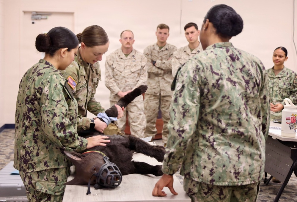 Treating Four-Legged Warfighters: Navy Corpsmen Train in Canine Tactical Combat Casualty Care