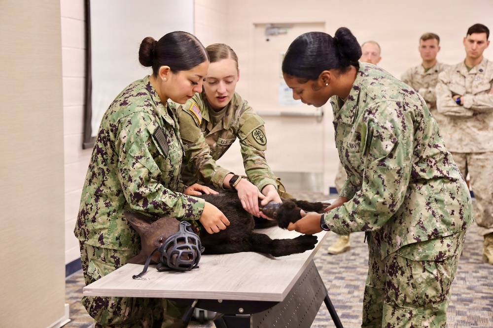 Treating Four-Legged Warfighters: Navy Corpsmen Train in Canine Tactical Combat Casualty Care