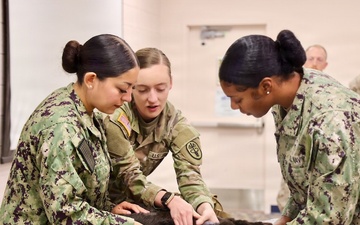 Treating Four-Legged Warfighters: Navy Corpsmen Train in Canine Tactical Combat Casualty Care