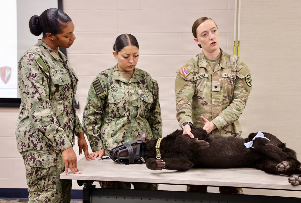 Treating Four-Legged Warfighters: Navy Corpsmen Train in Canine Tactical Combat Casualty Care
