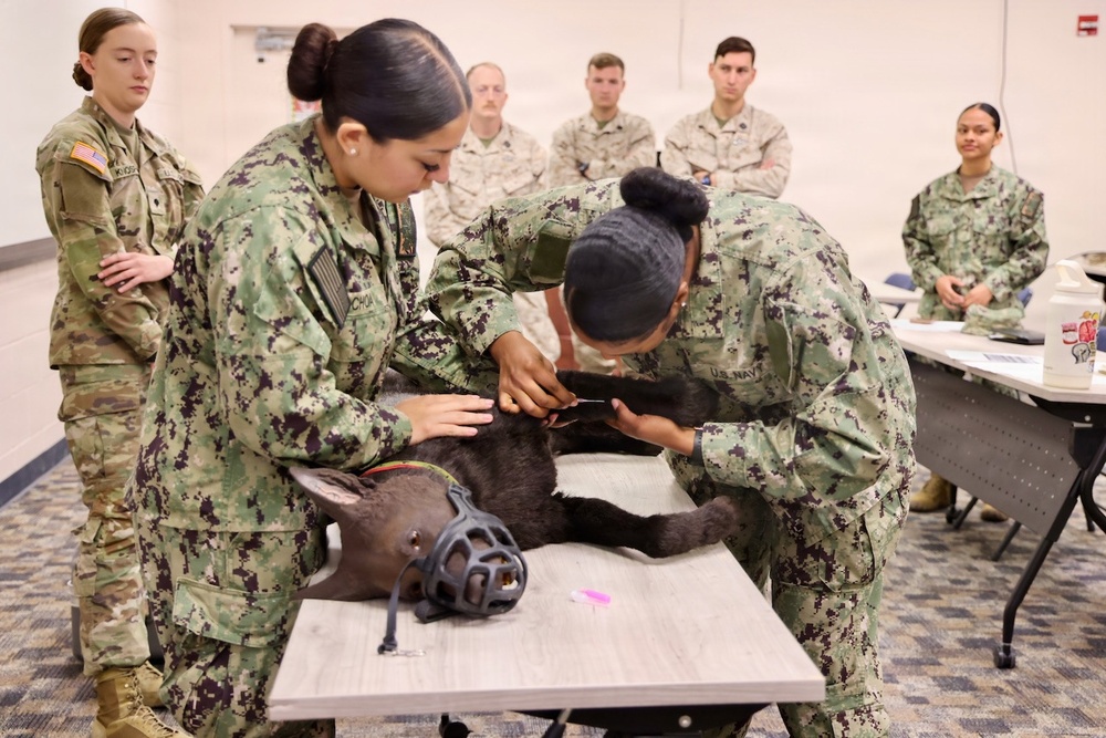 Treating Four-Legged Warfighters: Navy Corpsmen Train in Canine Tactical Combat Casualty Care
